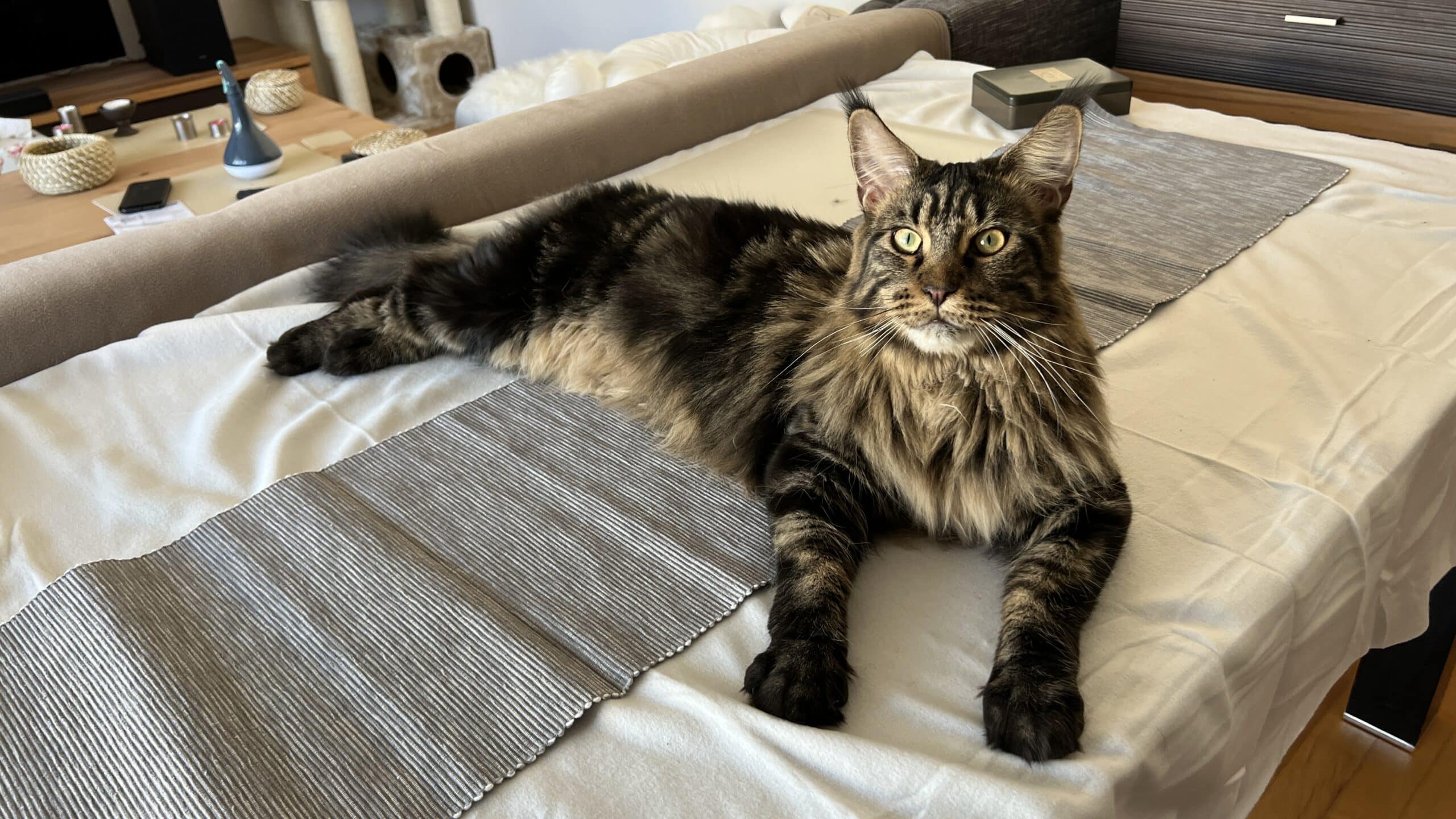 Flo’s schönste Bilder