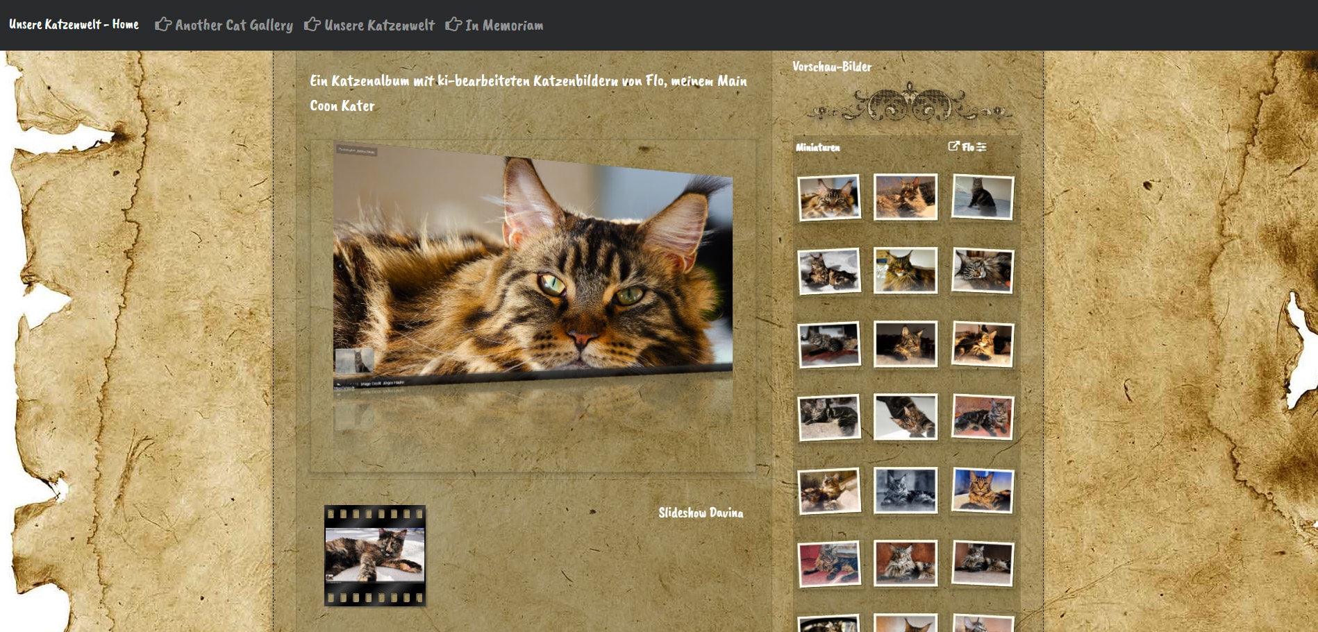 Slideshow Übersichtseiten meiner Katzen